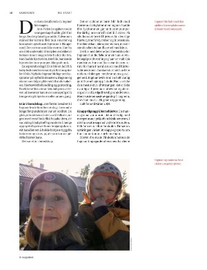 aftenposten_amagasinet-20251107_000_00_00_018.pdf