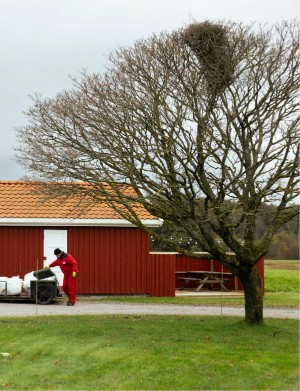 aftenposten_amagasinet-20251114_000_00_00_021.pdf