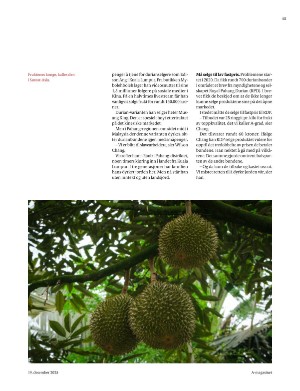 aftenposten_amagasinet-20251219_000_00_00_015.pdf