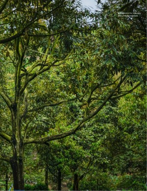 aftenposten_amagasinet-20251219_000_00_00_017.pdf