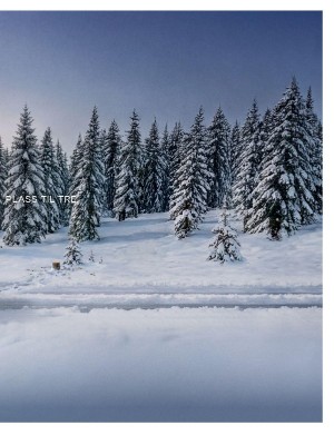 aftenposten_amagasinet-20251224_000_00_00_005.pdf