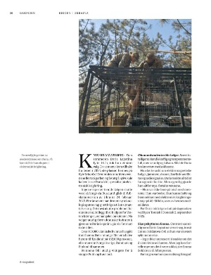 aftenposten_amagasinet-20260220_000_00_00_020.pdf