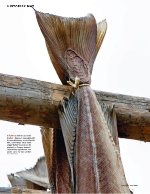 aftenposten_historie-20251210_000_00_00_114.pdf