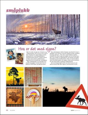 aftenposten_hytte-20181212_000_00_00_050.pdf