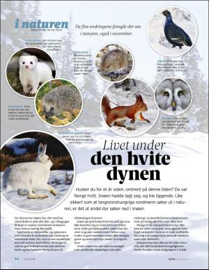 aftenposten_hytte-20181212_000_00_00_094.pdf