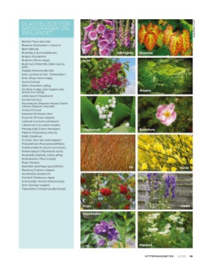 aftenposten_hytte-20210620_000_00_00_045.pdf