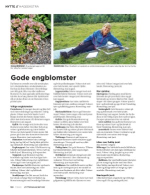 aftenposten_hytte-20220717_000_00_00_130.pdf