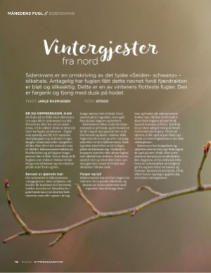 aftenposten_hytte-20231018_000_00_00_118.pdf