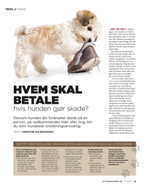 aftenposten_hytte-20231213_000_00_00_075.pdf