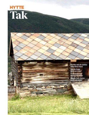 aftenposten_hytte-20250604_000_00_00_093.pdf