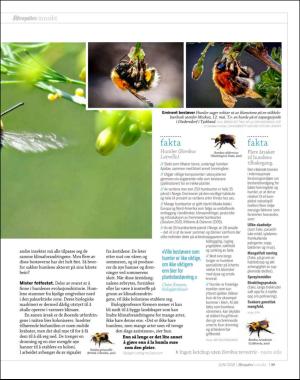 aftenposten_innsikt-20180529_000_00_00_077.pdf