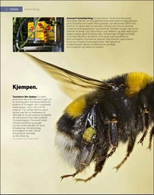 aftenposten_innsikt-20180529_000_00_00_080.pdf