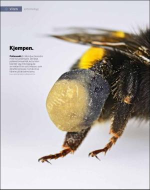 aftenposten_innsikt-20180529_000_00_00_082.pdf