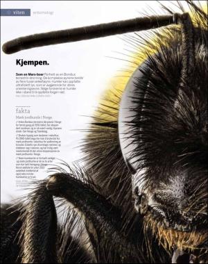 aftenposten_innsikt-20180529_000_00_00_084.pdf