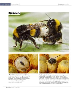 aftenposten_innsikt-20180529_000_00_00_086.pdf