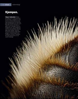 aftenposten_innsikt-20180529_000_00_00_088.pdf