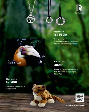 aftenposten_innsikt-20201122_000_00_00_003.pdf