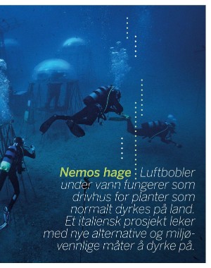 aftenposten_innsikt-20221002_000_00_00_037.pdf