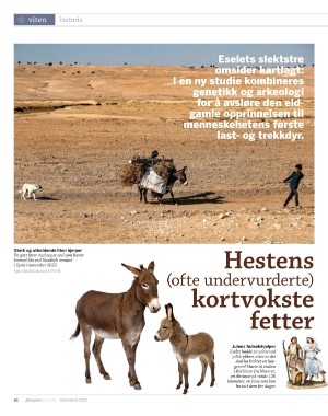 aftenposten_innsikt-20231129_000_00_00_082.pdf