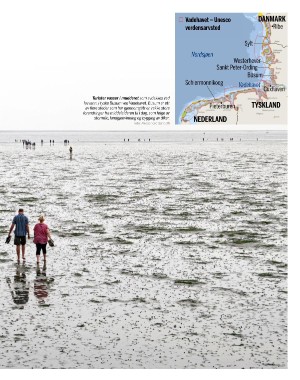 aftenposten_innsikt-20250430_000_00_00_049.pdf