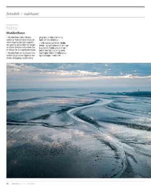 aftenposten_innsikt-20250430_000_00_00_054.pdf