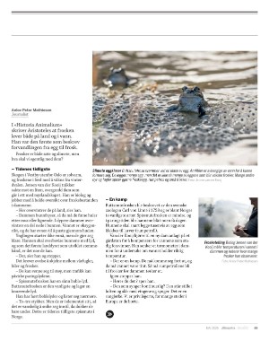aftenposten_innsikt-20250430_000_00_00_063.pdf