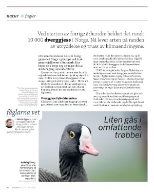 aftenposten_innsikt-20250430_000_00_00_066.pdf