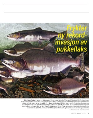 aftenposten_innsikt-20250530_000_00_00_069.pdf