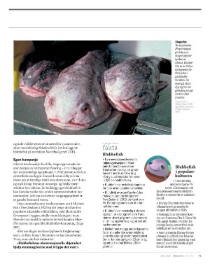 aftenposten_innsikt-20250629_000_00_00_071.pdf