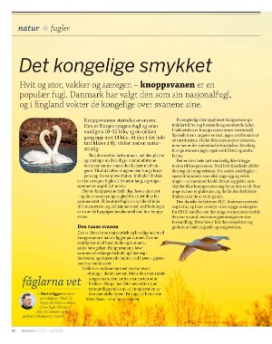 aftenposten_innsikt-20250629_000_00_00_072.pdf