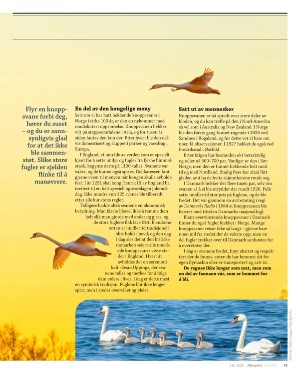 aftenposten_innsikt-20250629_000_00_00_073.pdf
