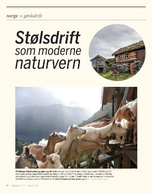 aftenposten_innsikt-20250730_000_00_00_074.pdf