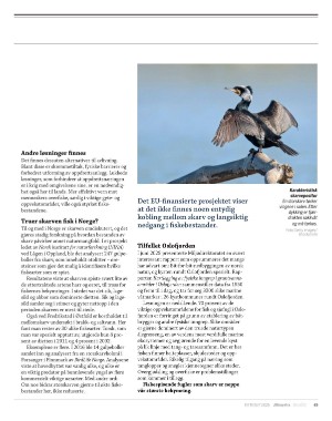 aftenposten_innsikt-20250929_000_00_00_063.pdf