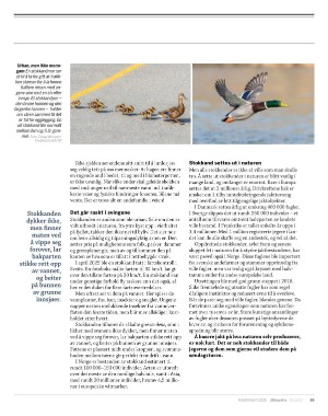 aftenposten_innsikt-20251030_000_00_00_059.pdf aftenposten_innsikt-20251030_000_00_00_059.pdf