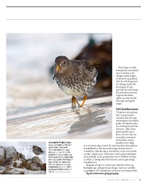 aftenposten_innsikt-20251129_000_00_00_079.pdf