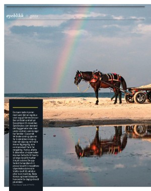 aftenposten_innsikt-20251231_000_00_00_012.pdf