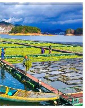 aftenposten_innsikt-20251231_000_00_00_073.pdf