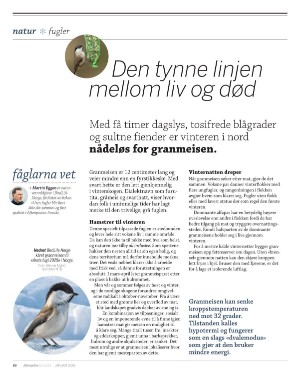 aftenposten_innsikt-20251231_000_00_00_080.pdf