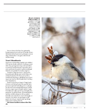 aftenposten_innsikt-20251231_000_00_00_081.pdf