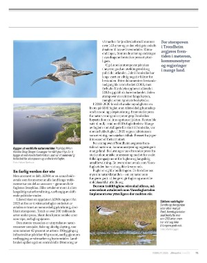 aftenposten_innsikt-20260131_000_00_00_071.pdf