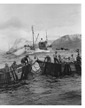 aftenposten_innsikt-20260131_000_00_00_079.pdf