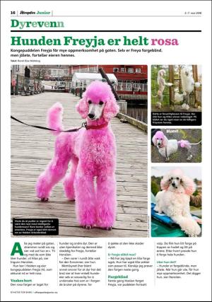 aftenposten_junior-20180502_000_00_00_016.pdf