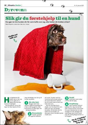 aftenposten_junior-20190115_000_00_00_016.pdf