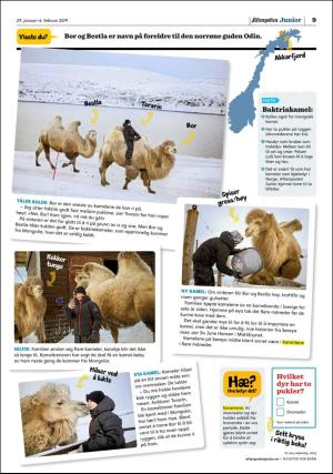aftenposten_junior-20190129_000_00_00_009.pdf