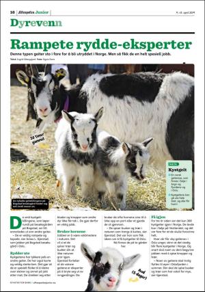 aftenposten_junior-20190409_000_00_00_016.pdf