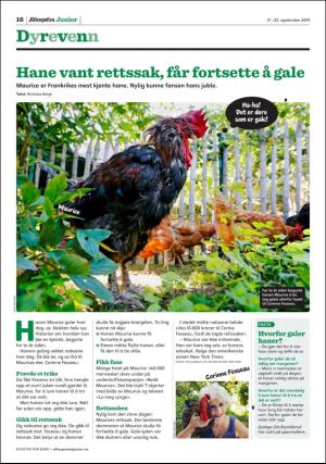 aftenposten_junior-20190917_000_00_00_016.pdf