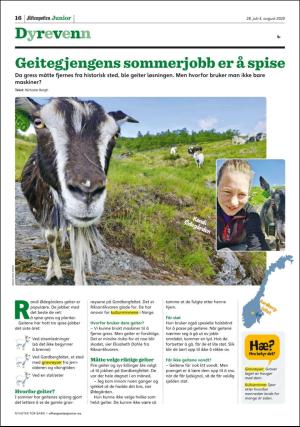 aftenposten_junior-20200728_000_00_00_016.pdf
