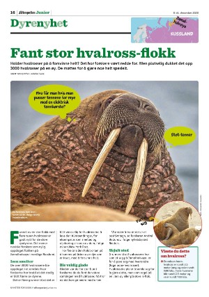 aftenposten_junior-20201208_000_00_00_016.pdf