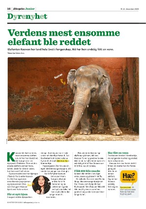 aftenposten_junior-20201215_000_00_00_016.pdf