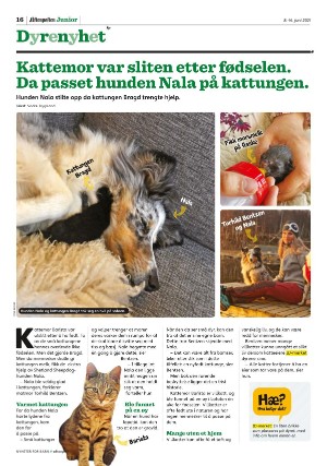 aftenposten_junior-20210608_000_00_00_016.pdf